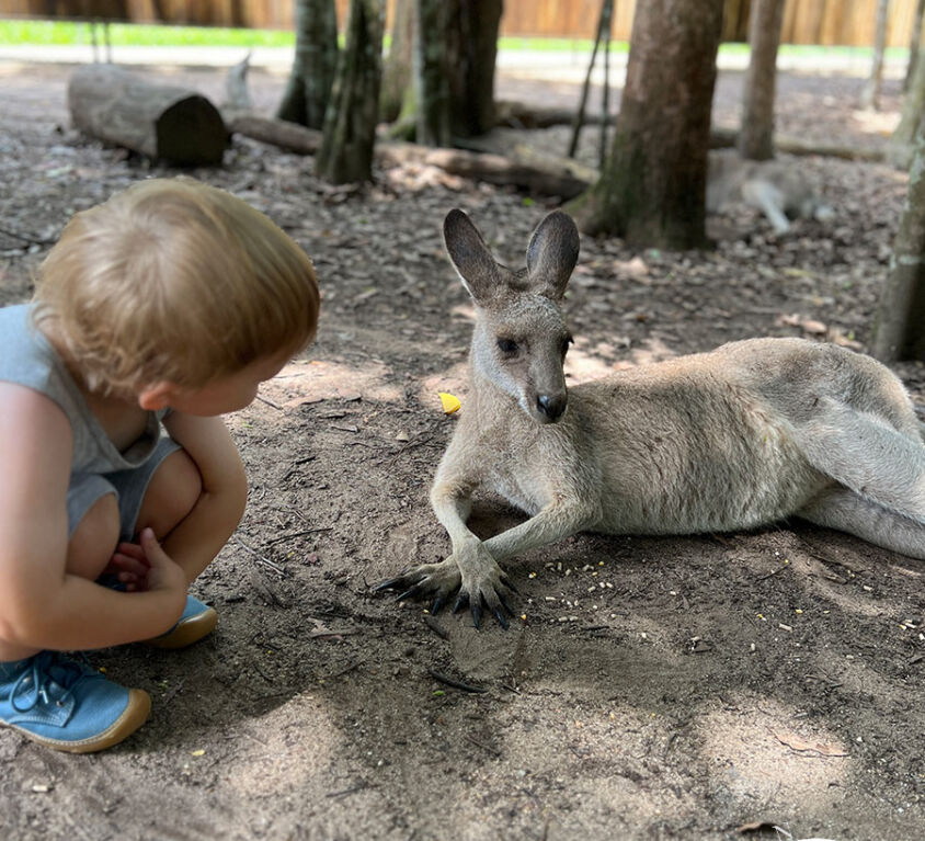AustraliaZoo03